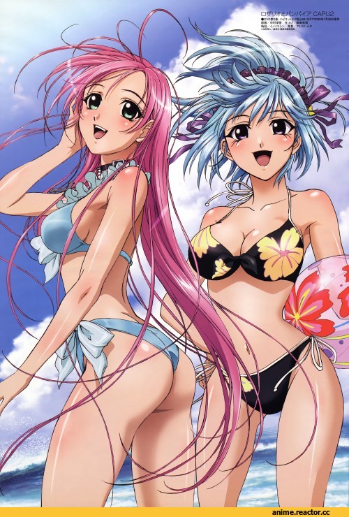 art, rosario+vampire, Anime