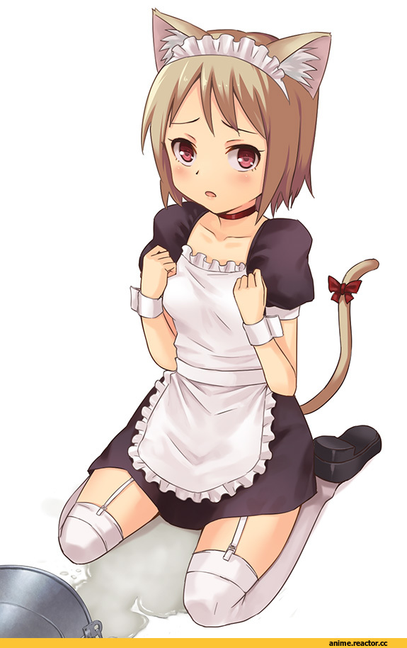 art, nekomimi, Hashi, Anime