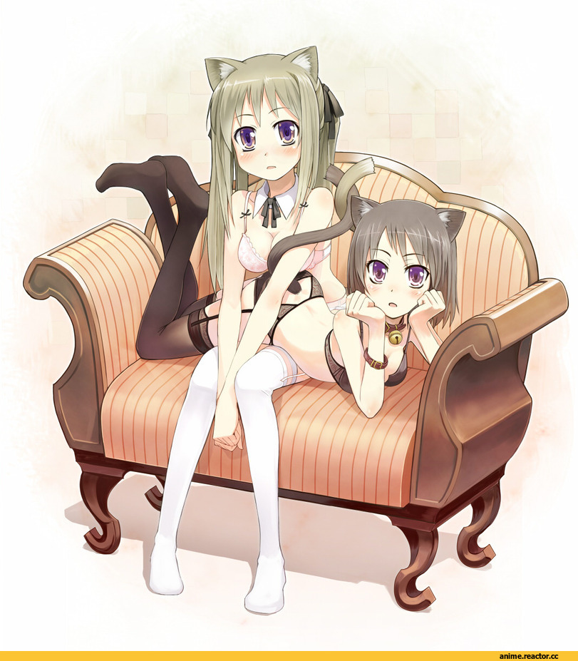 art, красивые картинки, yuri, orda, neko, pantsu, под катом еще, Animal Ears, Anime