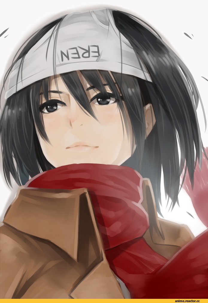 art, красивые картинки, Shingeki no Kyojin, Mikasa Ackerman, удалённое, Anime