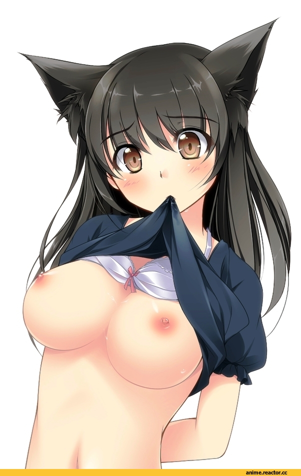 Anime Ero Oppai, Anime Ero, kazakura, Anime Original, Anime Art, neko, Animal Ears, Anime