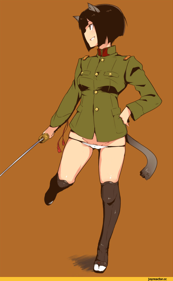 Strike Witches, Animal Ears, etou toshiko, Adult pantsu, Anime Ero, Anime Ero Pussy, neko, Strike Witches (Anime), Anime