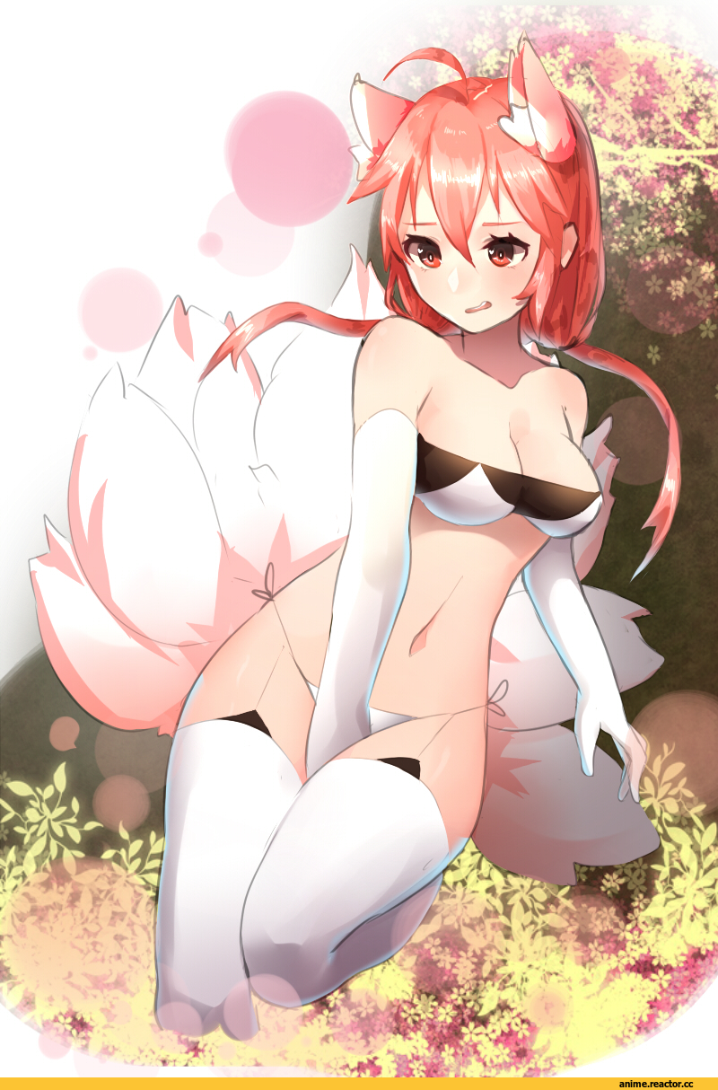 Anime Art, AO, ss0l_(skghek), Animal Ears, Anime Ero, ss0l (skghek), Kitsune, Anime