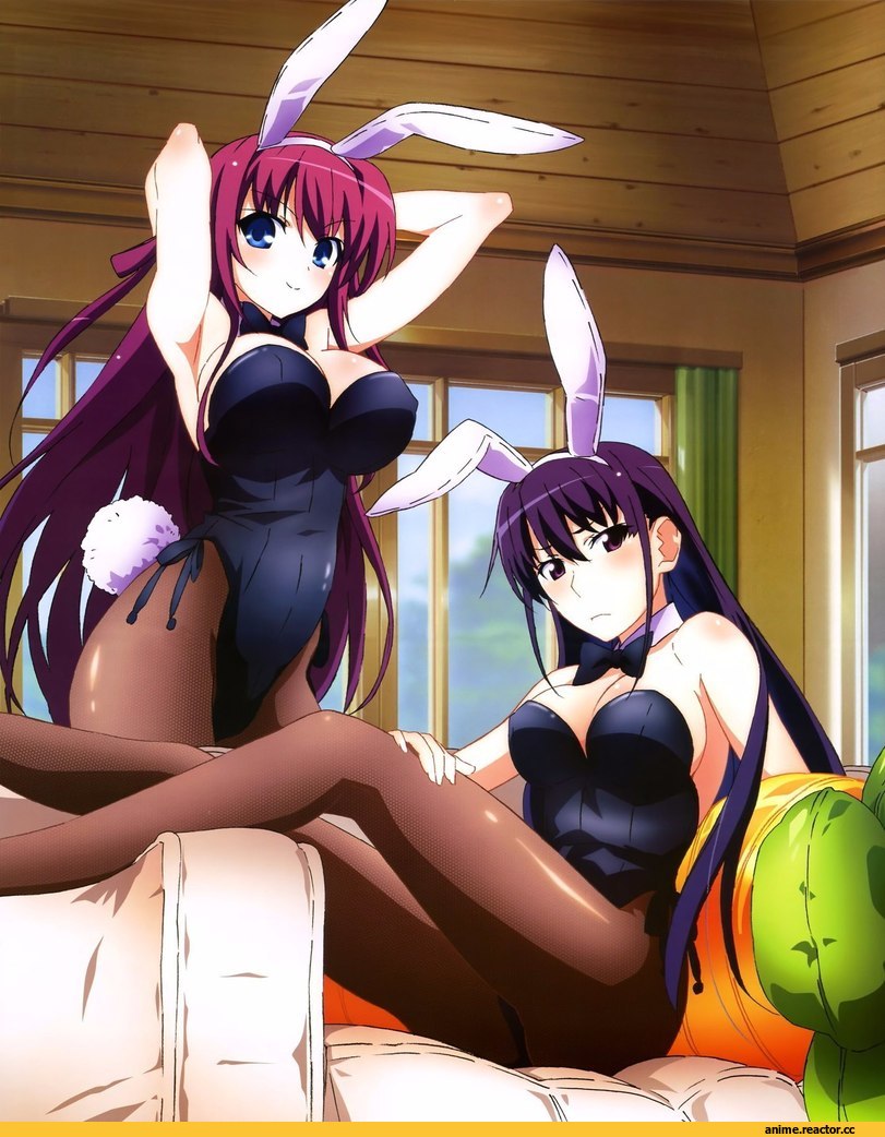 Animal Ears, Foreign VN, Usagimimi, Anime Ero, Grisaia No Kajitsu (Anime), pantyhose, Anime