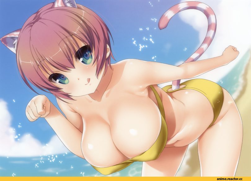 nanase meruchi, neko, Animal Ears, Anime Ero Swim, Anime Ero, Anime