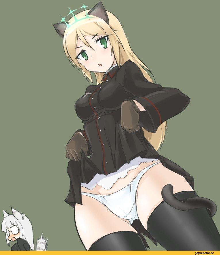 Heinrike Prinzessin Zu Sayn-Wittgenstein, Strike Witches, Heidemarie W. Schnaufer, Kitsunemimi, Animal Ears, Adult pantsu, Anime Ero, neko, Strike Witches (Anime), Anime