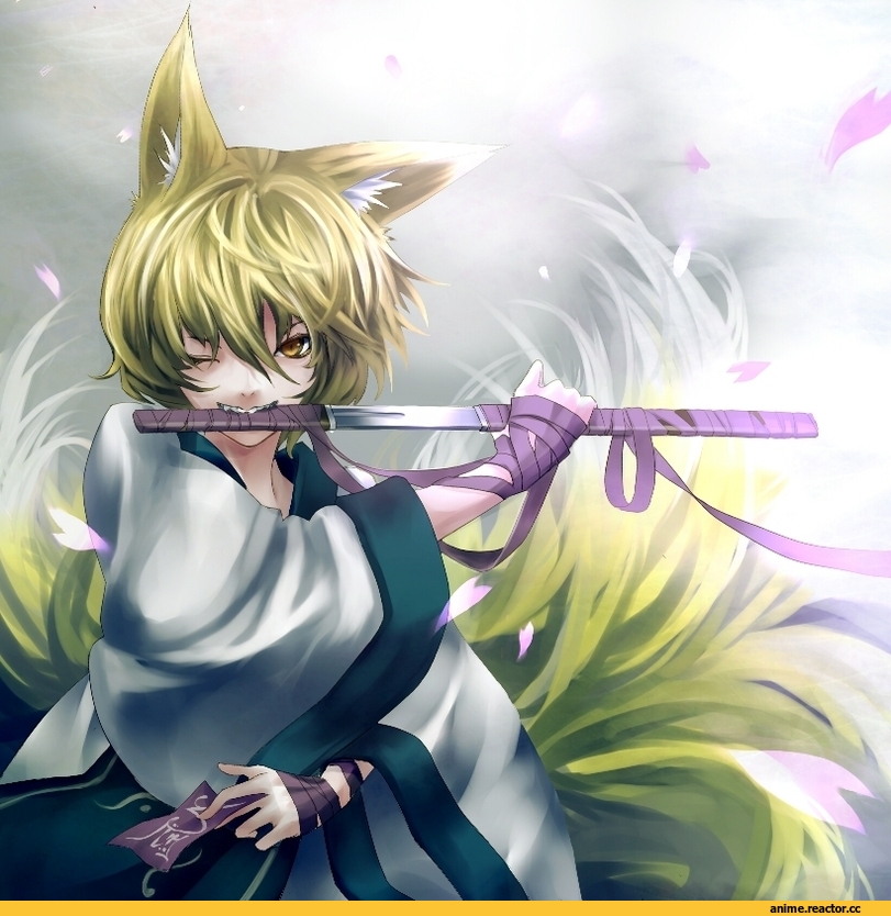 Anime Art, Touhou Project, Yakumo Ran, Anime