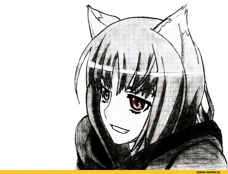 Хоро, волчица и пряности, рисунок, Inumimi, Animal Ears, Anime