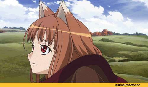 гифки, Ookami to Koushinryou, волчица и пряности, Inumimi, Animal Ears, Anime