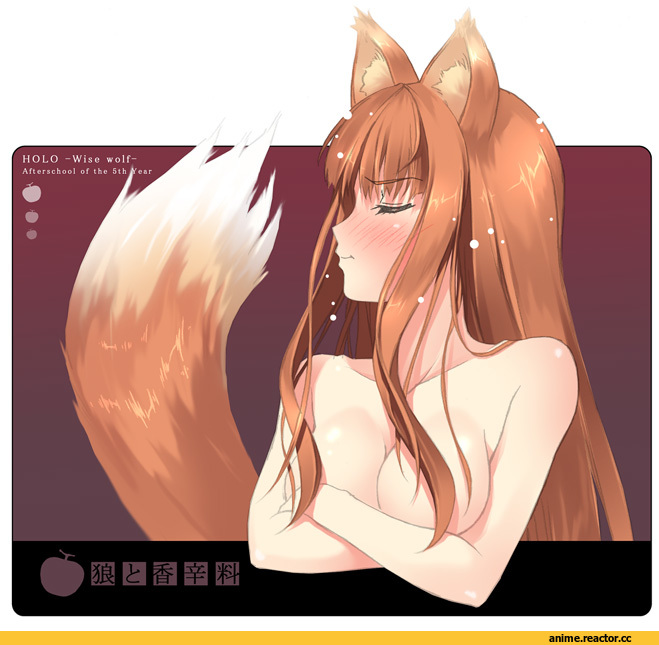 Spice and Wolf, Horo, Animal Ears, Inumimi, Anime