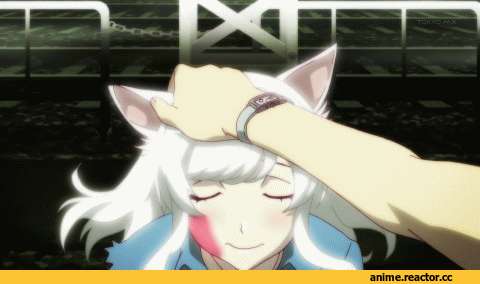 гифки, Nekomonogatari, Black Hanekawa, Anime Гифки, нэко, Animal Ears, Anime