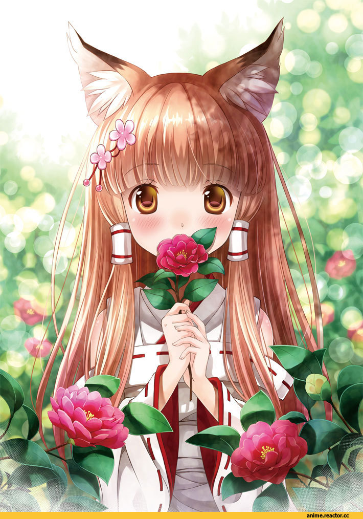 Anime Original, Kitsune, Неко, Animal Ears, Anime