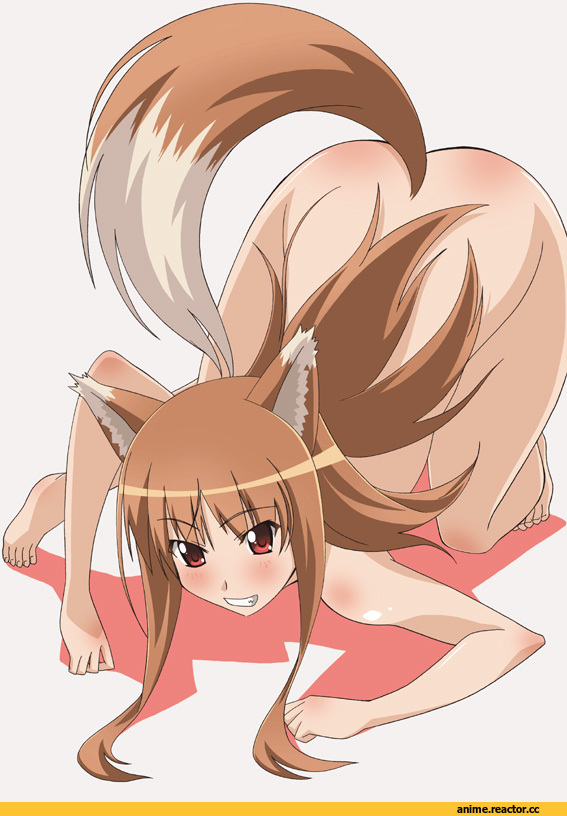 Spice and Wolf, Холо, Inumimi, Animal Ears, Anime