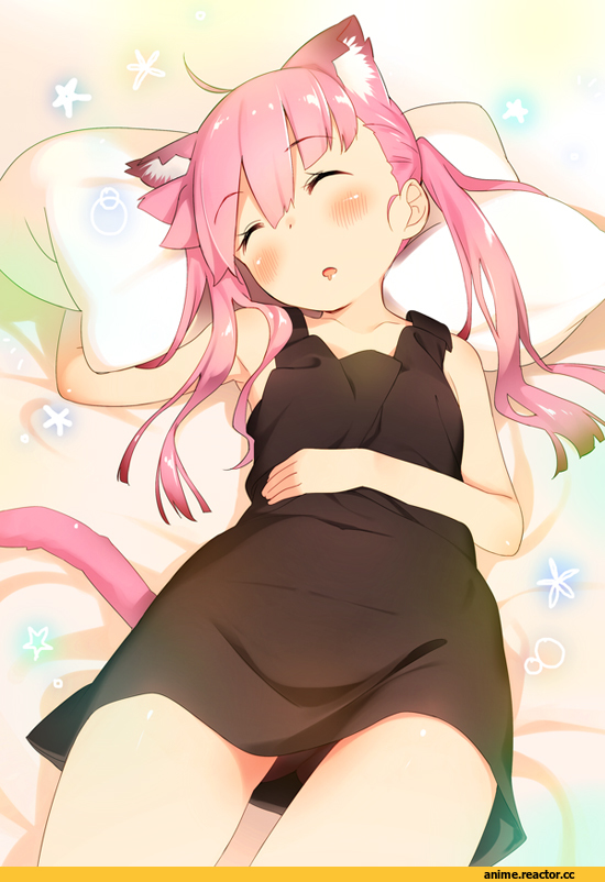 neko, Animal Ears, Anime