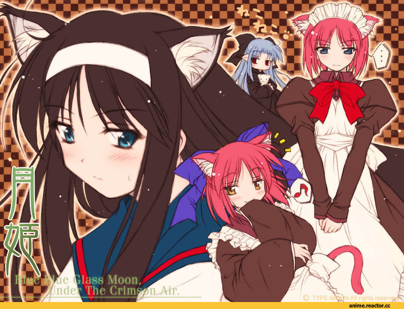 type moon, nasuverse, Tsukihime, Kohaku, Hisui, Ren, akiha tohno, cat ears, Maid, Неко, Anime, Animal Ears