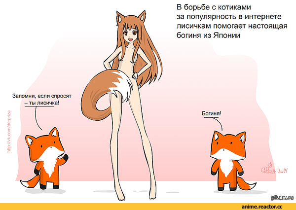 котики и лисички, Хоро, Spice and Wolf, Inumimi, Animal Ears, Anime