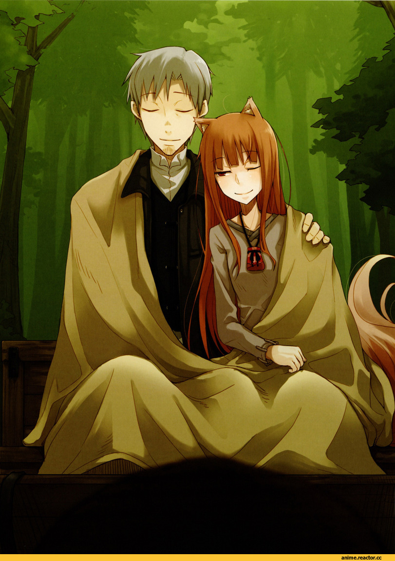 Spice and Wolf, Inumimi, Animal Ears, Horo, Kraft Lawrence, hd, Anime