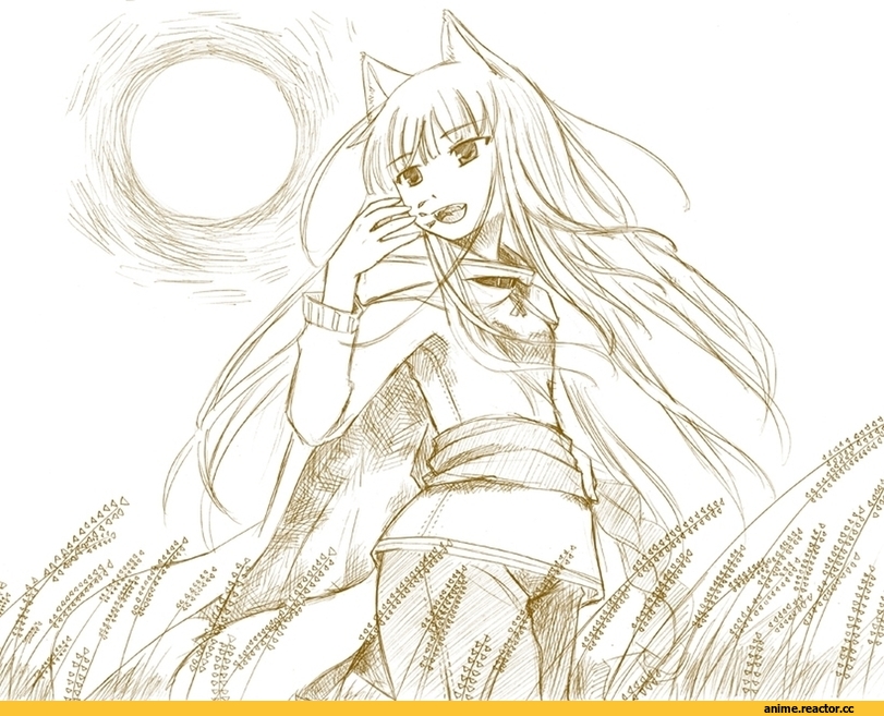 Spice and Wolf, Inumimi, Animal Ears, Kraft Lawrence, Anime