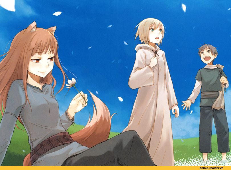 Spice and Wolf, Inumimi, Animal Ears, Horo, Anime