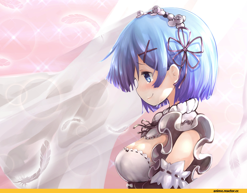 Rem (re zero), Re Zero Kara Hajimeru Isekai Seikatsu, hachachi, Anime