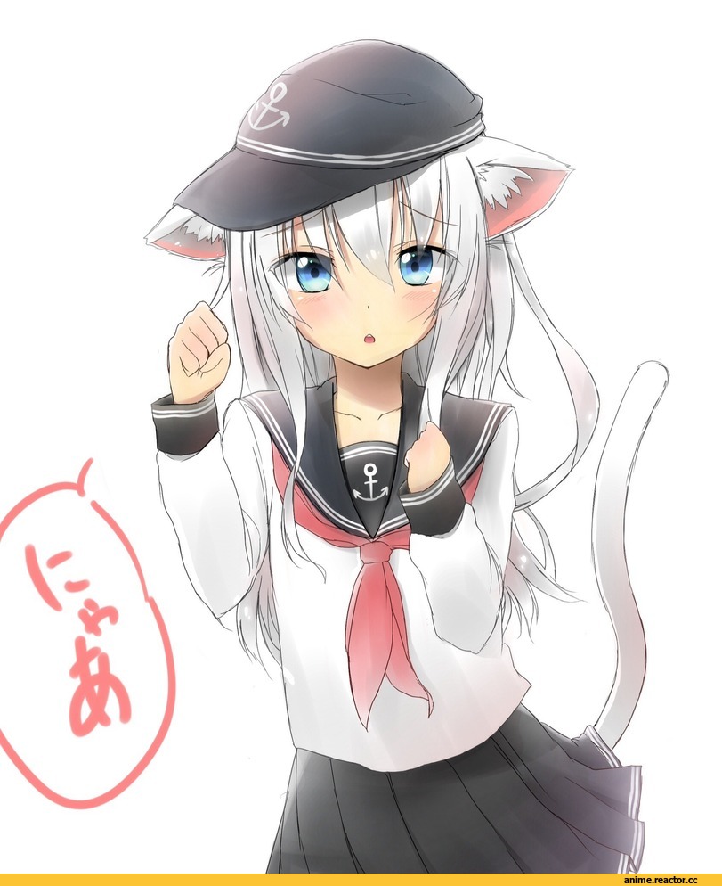 Hibiki (Kantai Collection), Kantai Collection, Animal Ears, neko, Anime