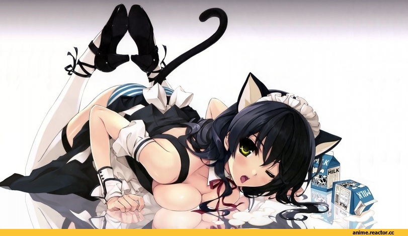 catgirl, milk, хвостик, трусики, колготки, горничная, neko, Animal Ears, Anime