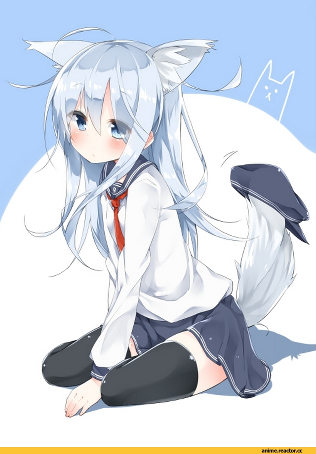 Hibiki (Kantai Collection), Kantai Collection, Inumimi, Animal Ears, Anime