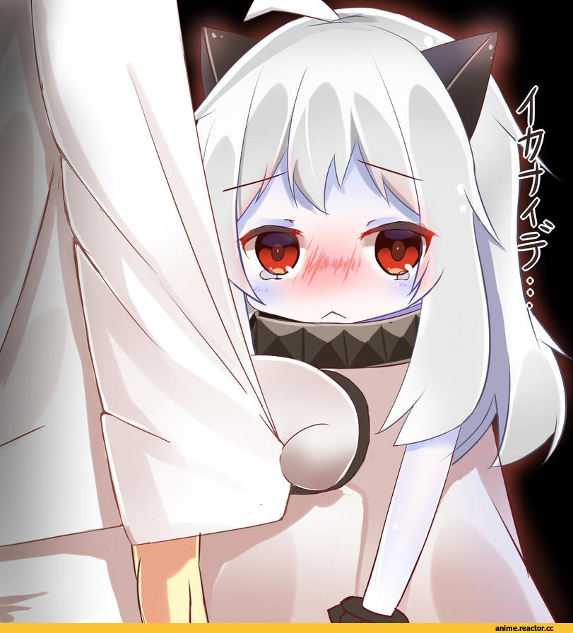 Kantai Collection, Northern Ocean Hime, Anime