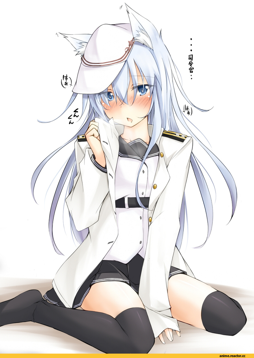 Hibiki (Kantai Collection), Kantai Collection, Animal Ears, Anime