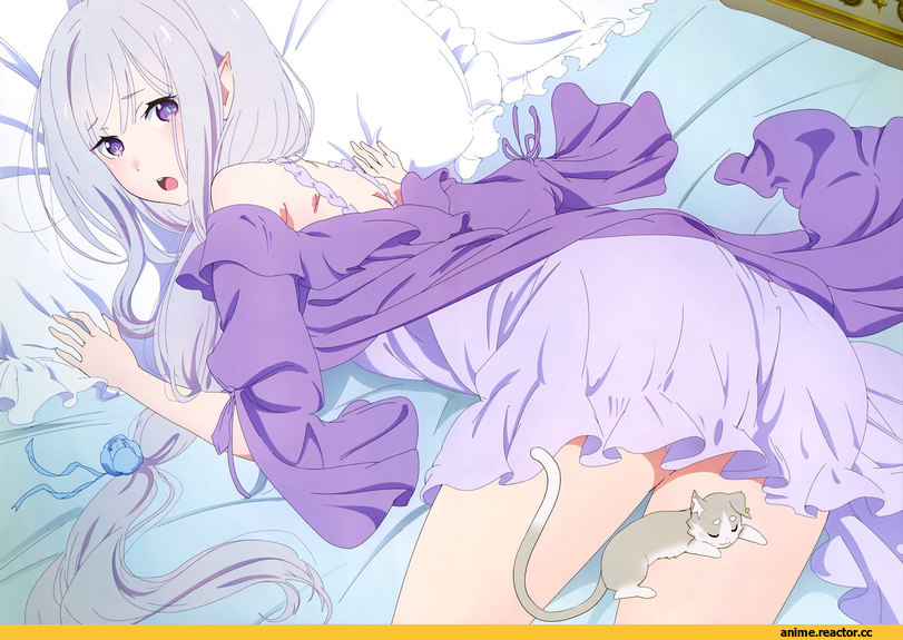 Re Zero Kara Hajimeru Isekai Seikatsu, Emilia (re zero), Pack (re zero), Anime