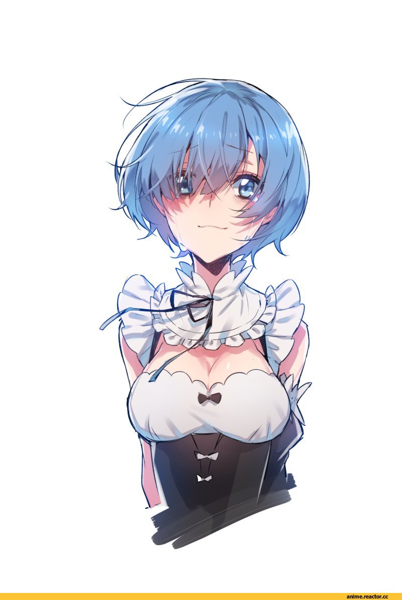 Rem (re zero), Re Zero Kara Hajimeru Isekai Seikatsu, supernew, Anime