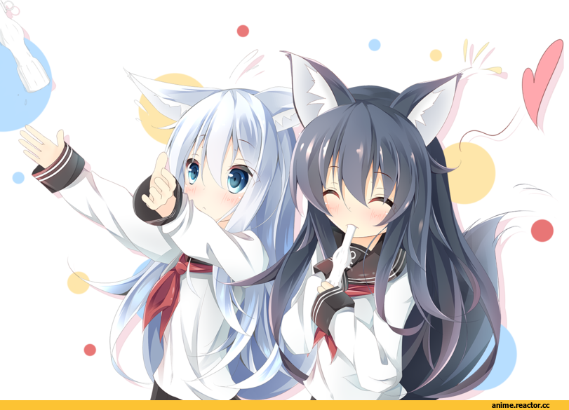 Hibiki (Kantai Collection), Kantai Collection, akatsuki (kantai collection), Animal Ears, Kitsune, Anime