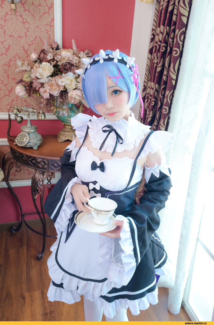 Re Zero Kara Hajimeru Isekai Seikatsu, Rem (re zero), Robojjon, Anime