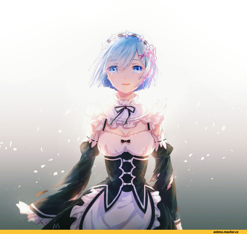 Rem (re zero), Re Zero Kara Hajimeru Isekai Seikatsu, catsir, Anime