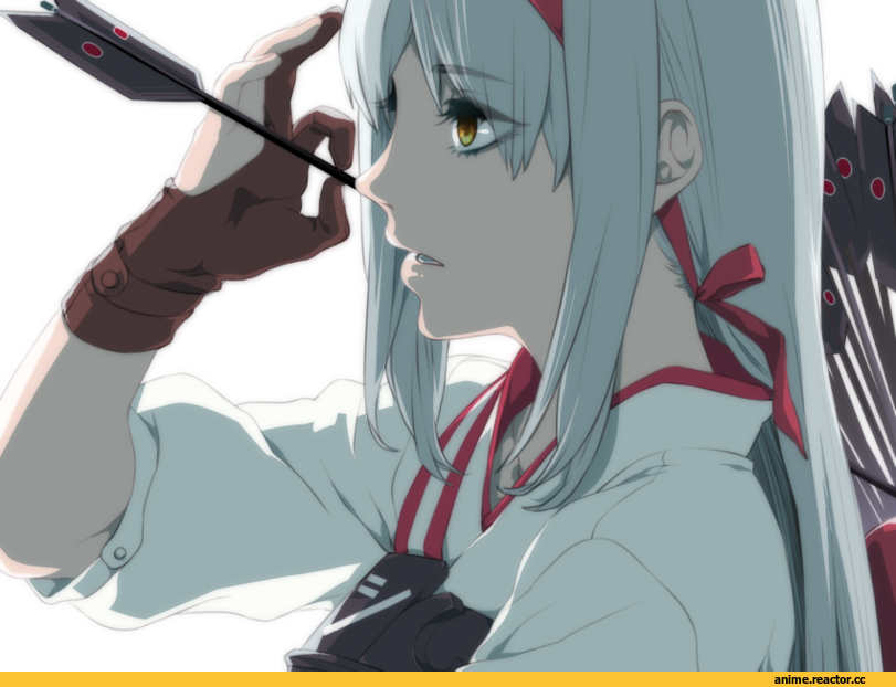 Shoukaku (Kantai Collection), Kantai Collection, Anime