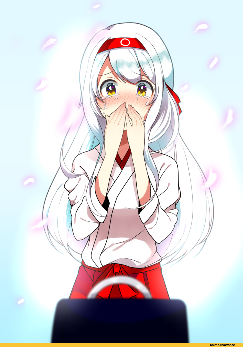 Shoukaku (Kantai Collection), Kantai Collection, Anime