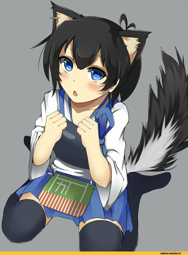 Kaga (Kantai Collection), Kantai Collection, Inumimi, Animal Ears, Anime