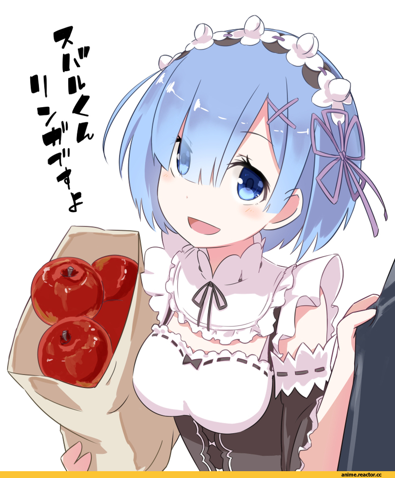 Rem (re zero), Re Zero Kara Hajimeru Isekai Seikatsu, Anime