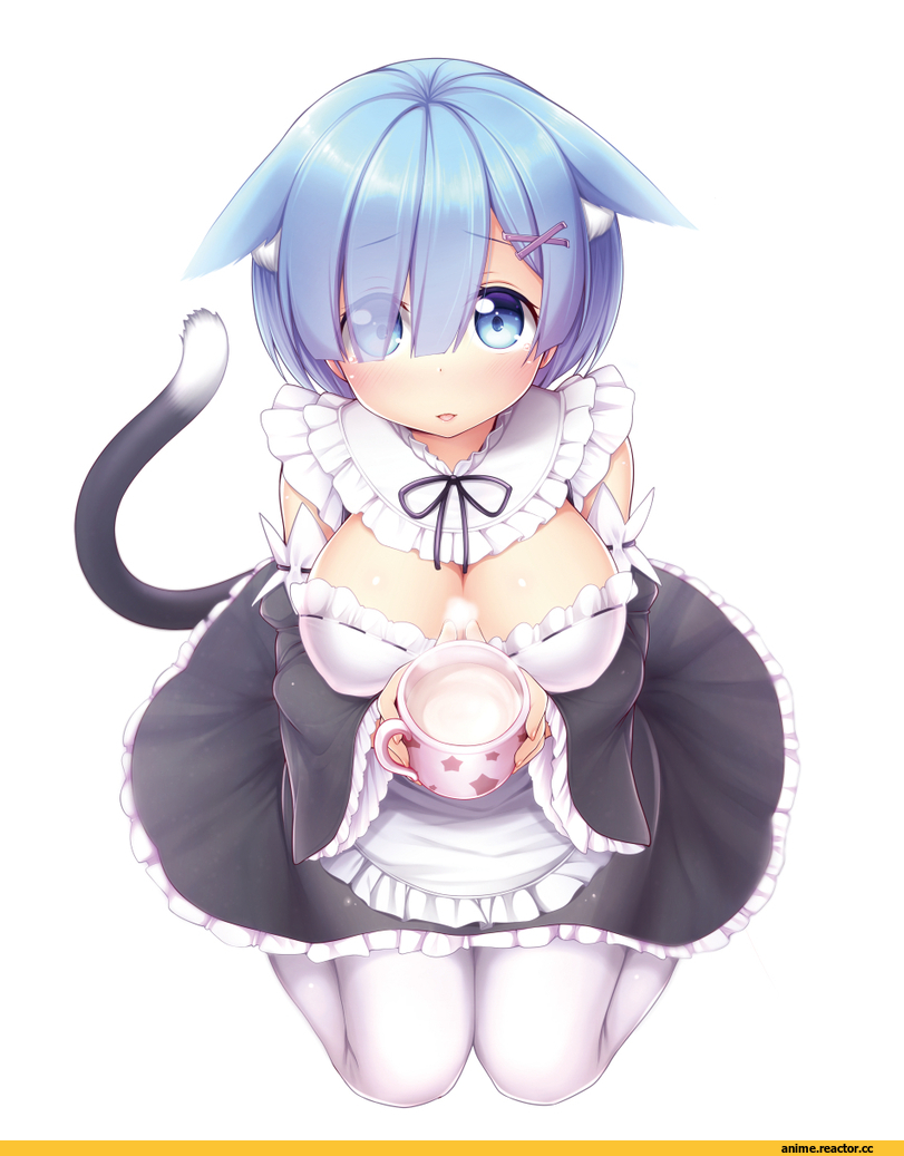 Re Zero Kara Hajimeru Isekai Seikatsu, Rem (re zero), Animal Ears, neko, Anime