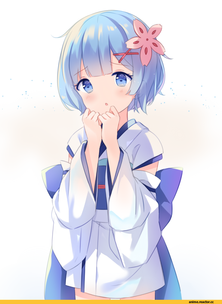 Rem (re zero), Re Zero Kara Hajimeru Isekai Seikatsu, Hitsu, Anime