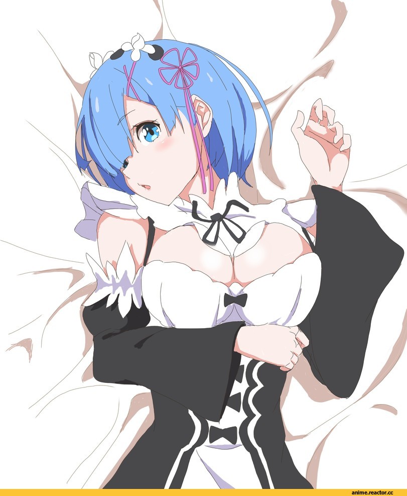 Re Zero Kara Hajimeru Isekai Seikatsu, Rem (re zero), hashimoto (frog flag), Anime