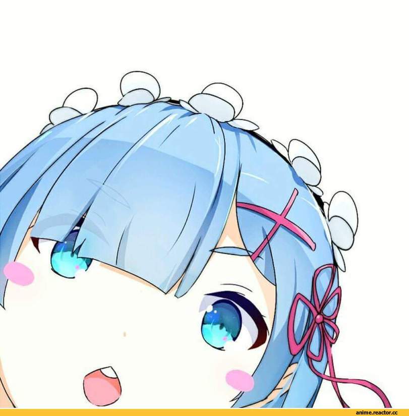 Rem (re zero), Re Zero Kara Hajimeru Isekai Seikatsu, Anime