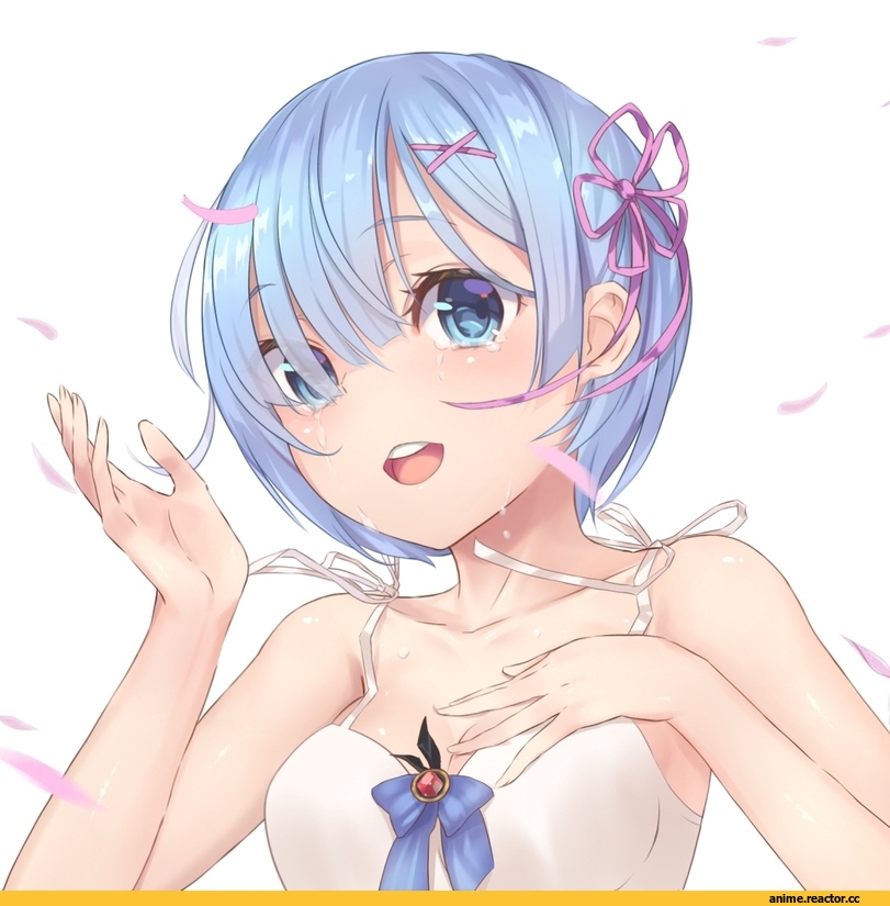 Rem (re zero), Re Zero Kara Hajimeru Isekai Seikatsu, Anime