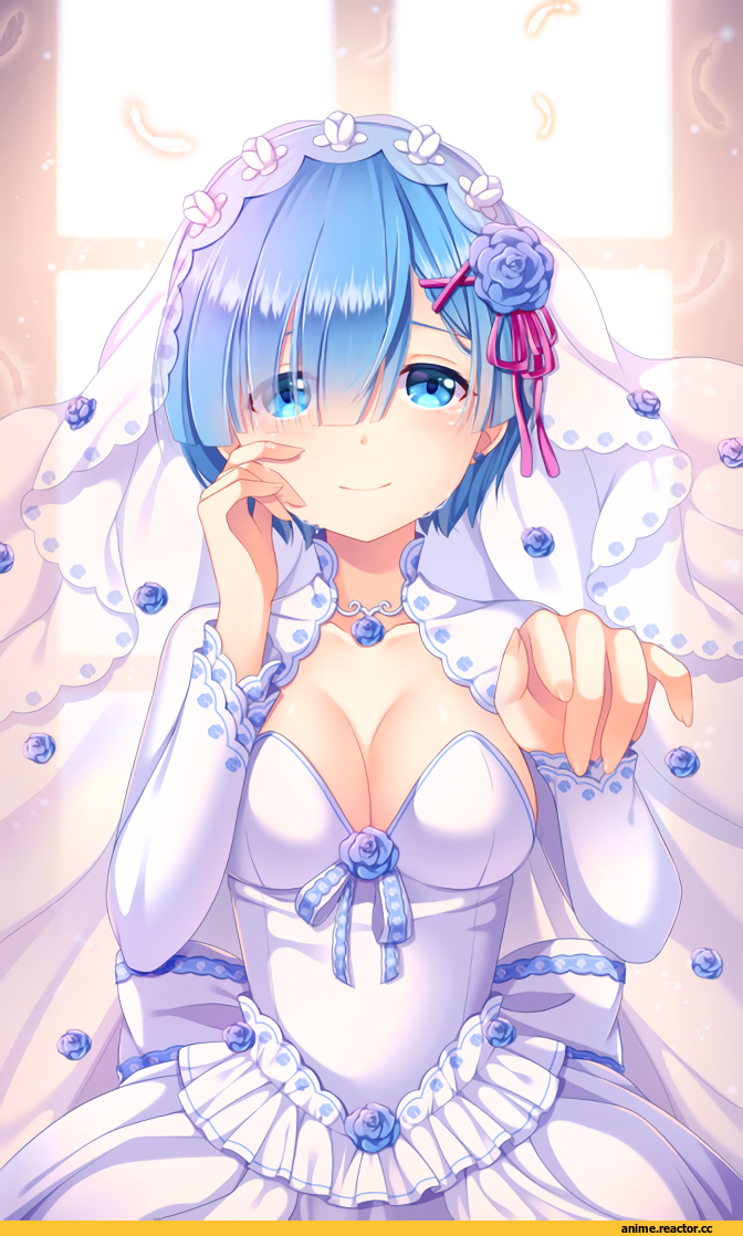 Re Zero Kara Hajimeru Isekai Seikatsu, Rem (re zero), kotetu han, Anime