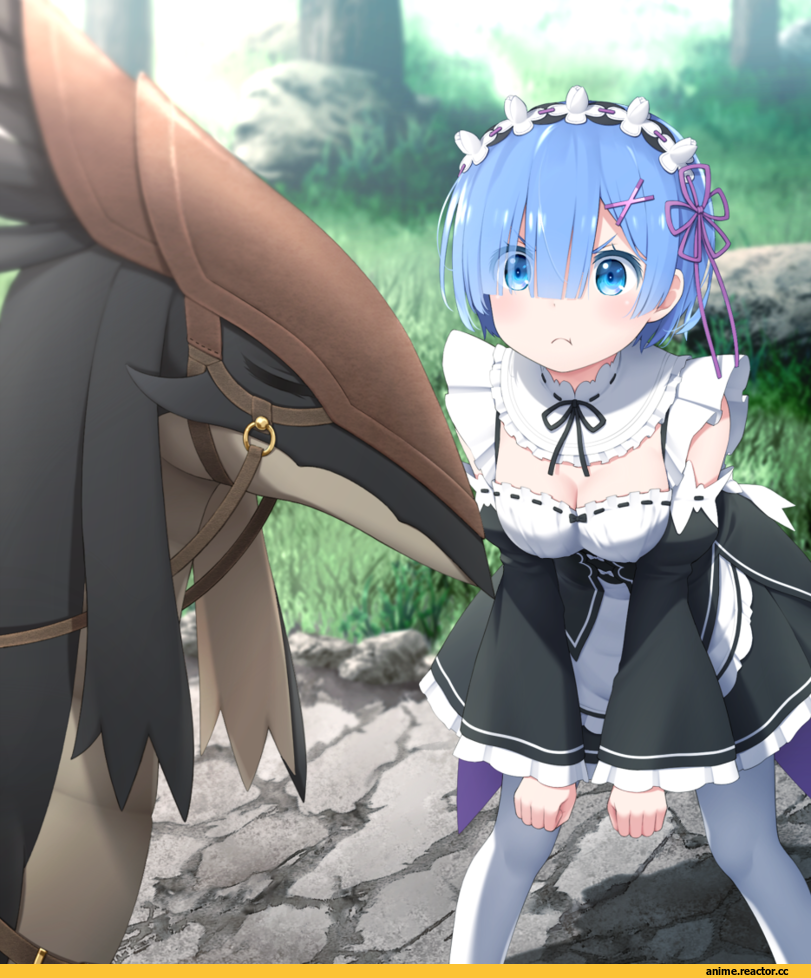 Re Zero Kara Hajimeru Isekai Seikatsu, Rem (re zero), Patrasche, Anime