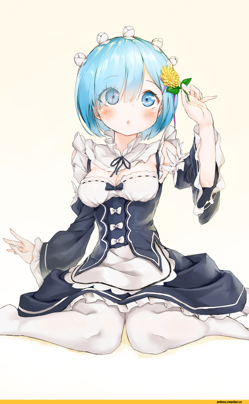 Re Zero Kara Hajimeru Isekai Seikatsu, Rem (re zero), hansal, Anime