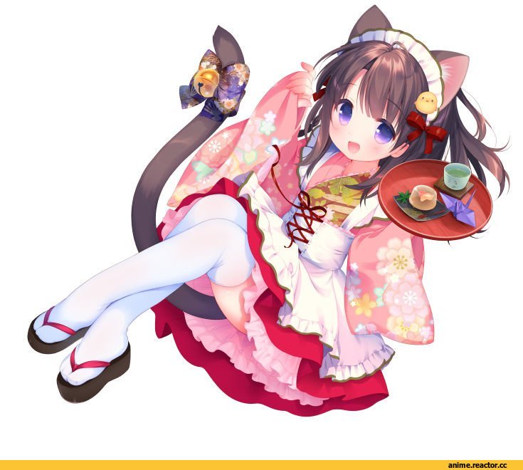 AO, nekomimi, Animal Ears, Maid, piyodera mucha, Anime