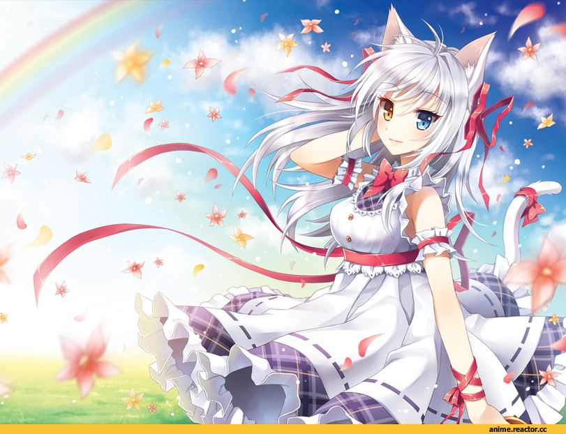 art, catgirl, flowers, sky, Anime
