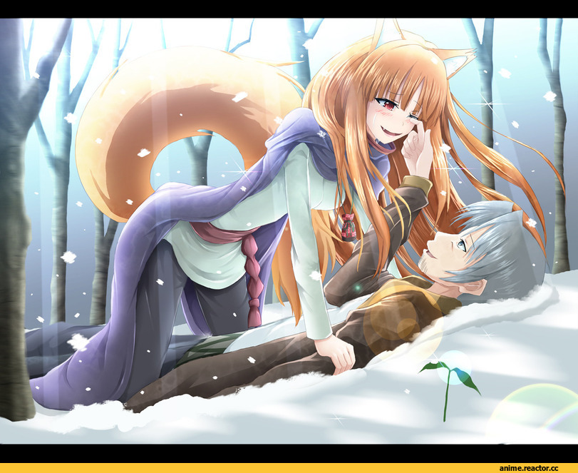 Spice and Wolf, art, красивые картинки, Inumimi, Animal Ears, Anime