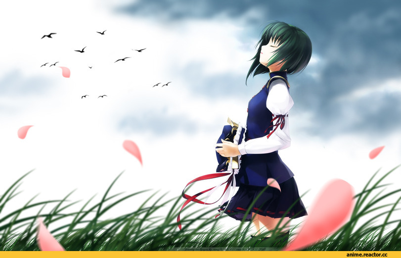 Anime Art, art, красивые картинки, Touhou Project, clouds, Kazami Yuuka, Anime